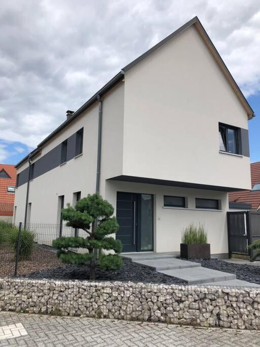 Maison D'Architecte Situee Sur La Route Des Vins Châtenois Zewnętrze zdjęcie